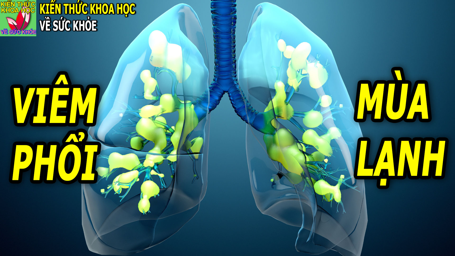 viem-phoi-mua-lanh-va-cach-phong-ngua