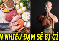 an-nhieu-chat-dam-protein-co-tot-khong