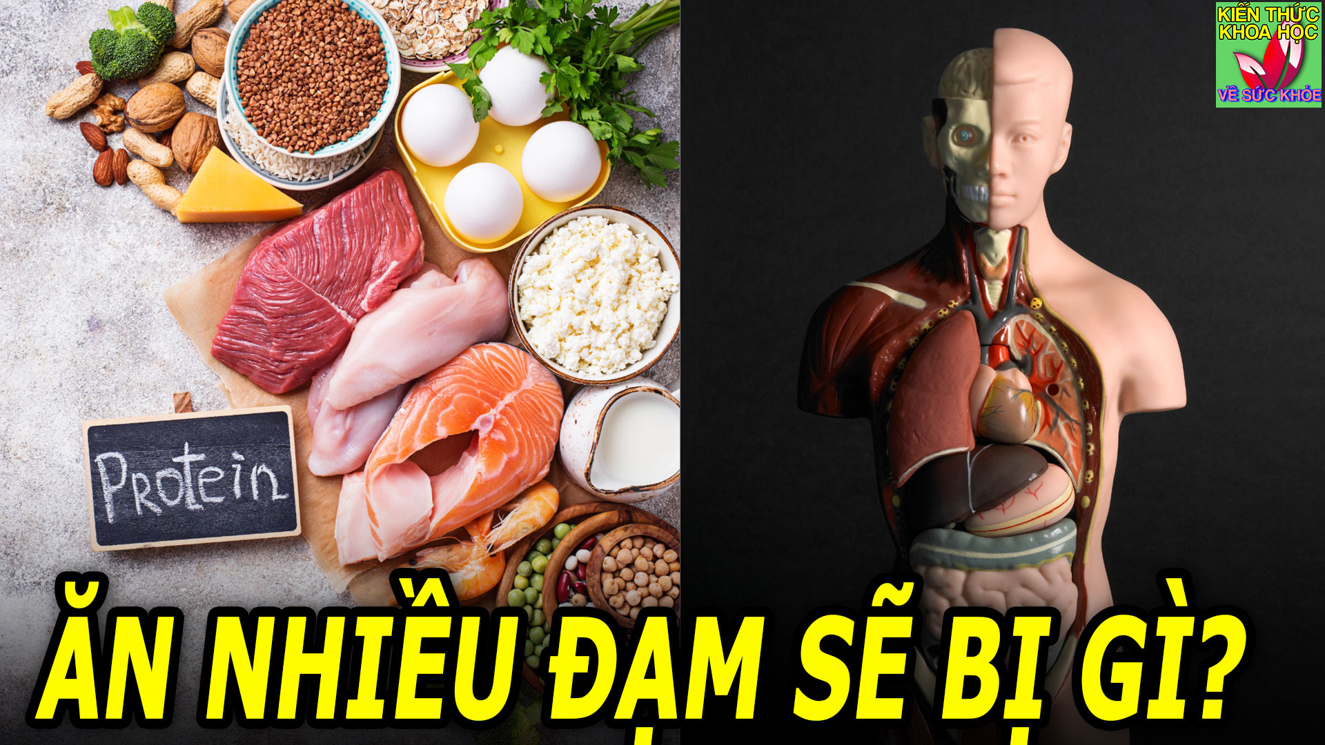 an-nhieu-chat-dam-protein-co-tot-khong