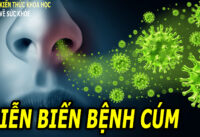 cac-giai-doan-dien-bien-cua-benh-cum-ai-cung-can-biet