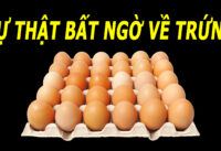 su-that-ve-trung-sieu-thuc-pham-tot-cho-suc-khoe