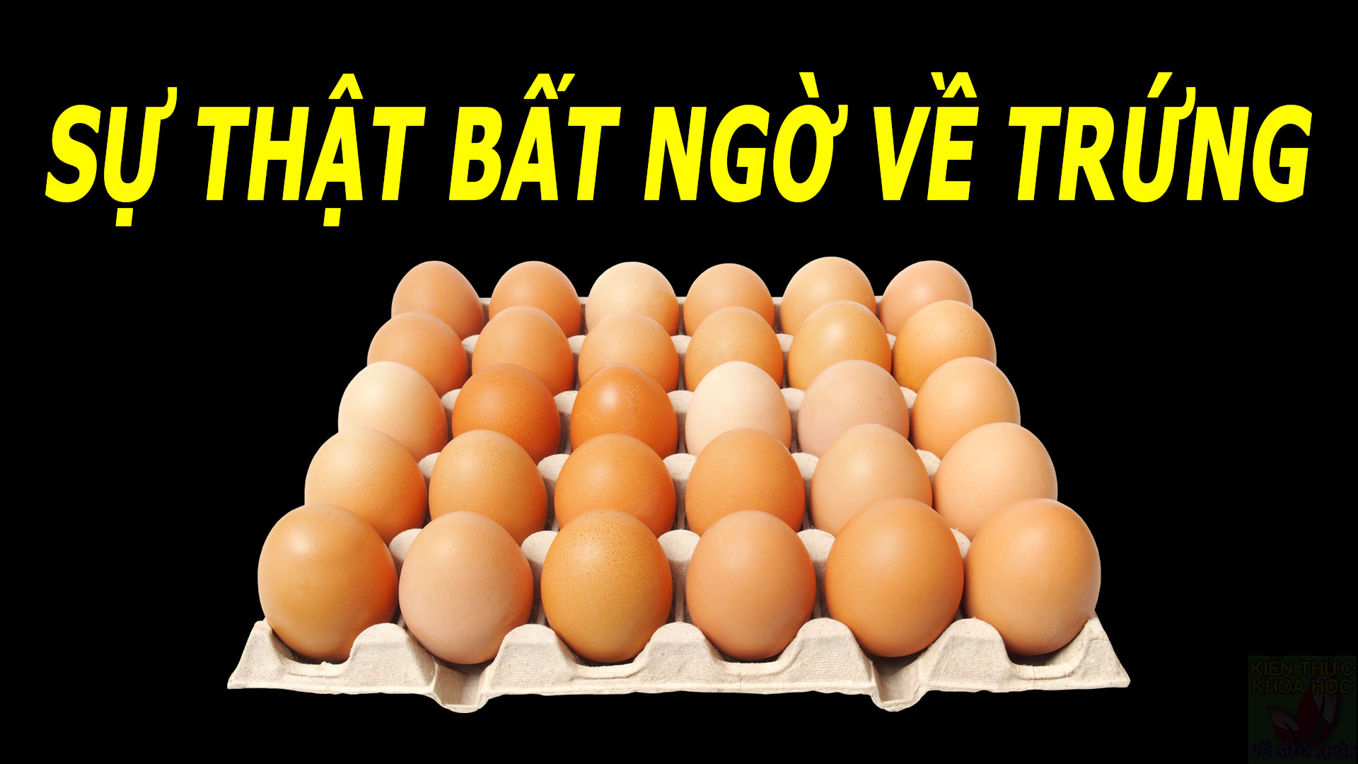 su-that-ve-trung-sieu-thuc-pham-tot-cho-suc-khoe