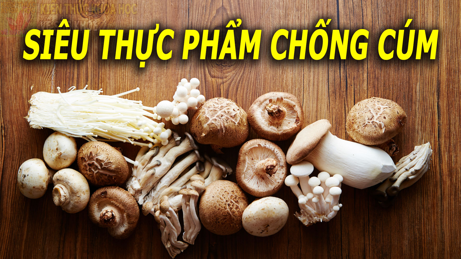 thuc-pham-chong-cum-nho-nhac-nhau-an-thuong-xuyen