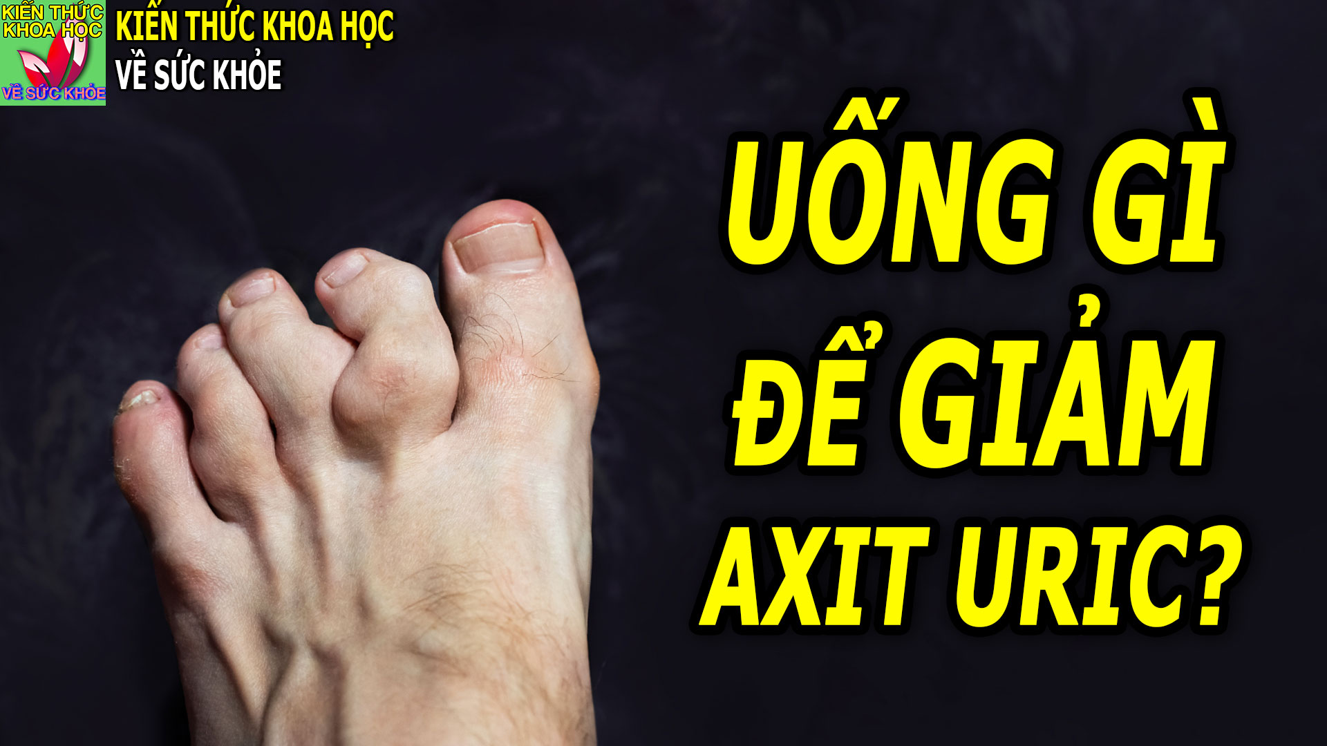 uong-gi-de-giam-axit-uric