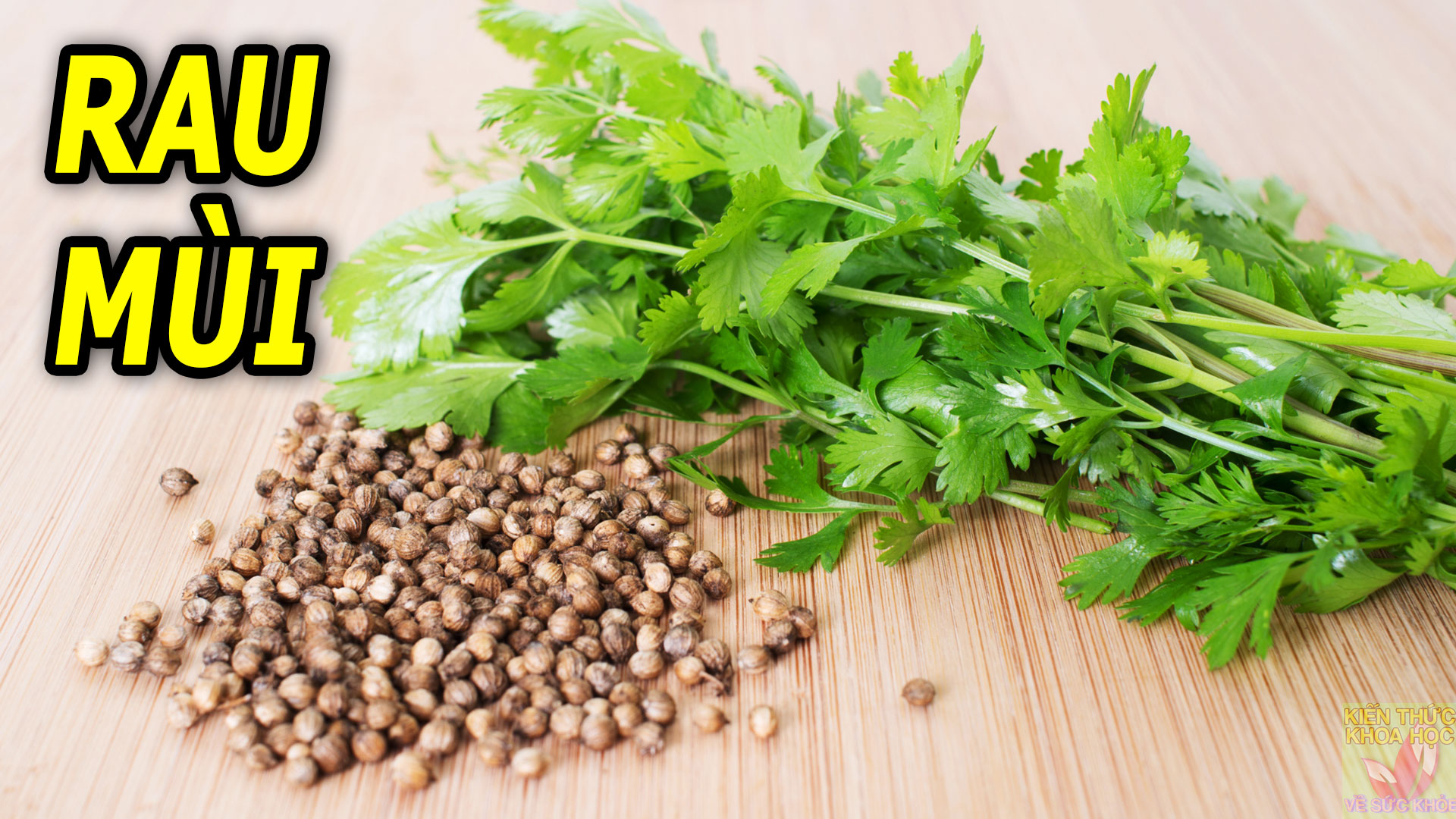 mot-nam-rau-mui-8-loi-ich-suc-khoe-bat-ngo