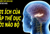 tap-the-duc-tot-cho-suc-khoe-nao-bo-nhu-the-nao
