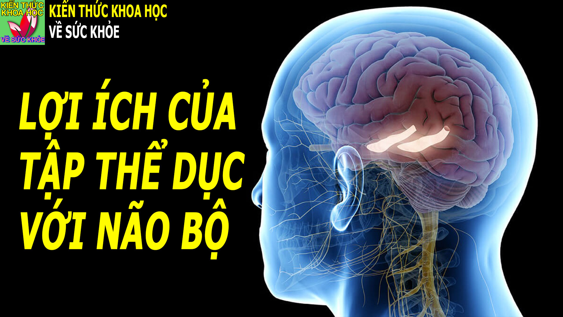 tap-the-duc-tot-cho-suc-khoe-nao-bo-nhu-the-nao