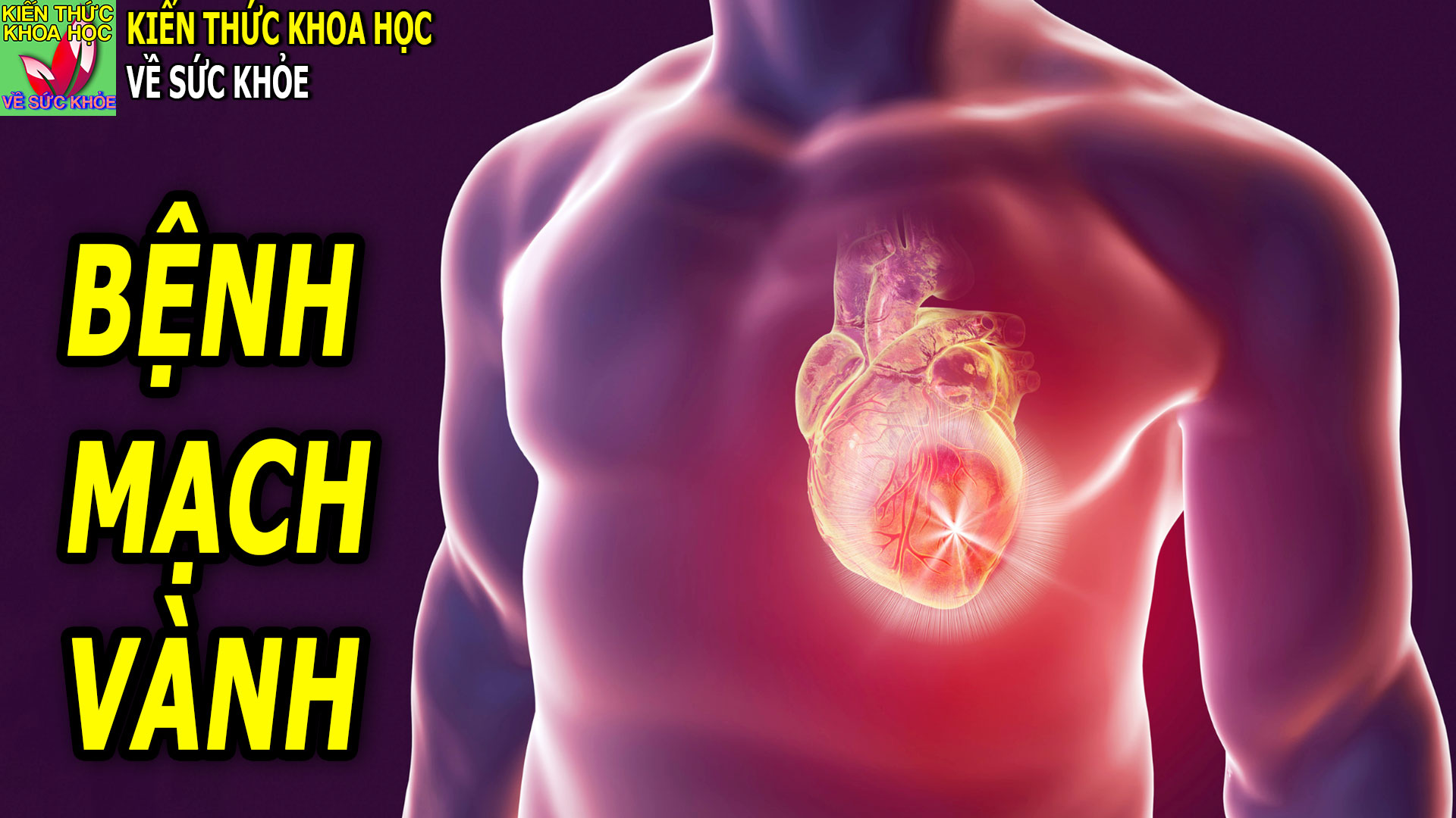 dau-hieu-benh-mach-vanh