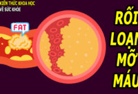 dinh-duong-cho-nguoi-mo-mau-cao