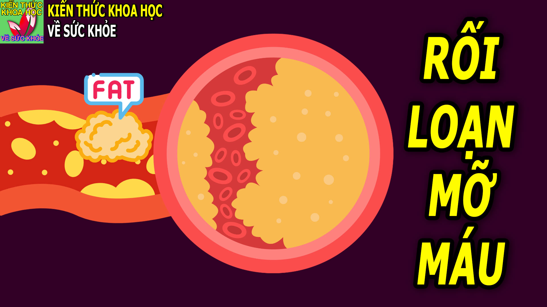 dinh-duong-cho-nguoi-mo-mau-cao