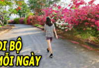 loi-ich-cua-viec-di-bo-hang-ngay