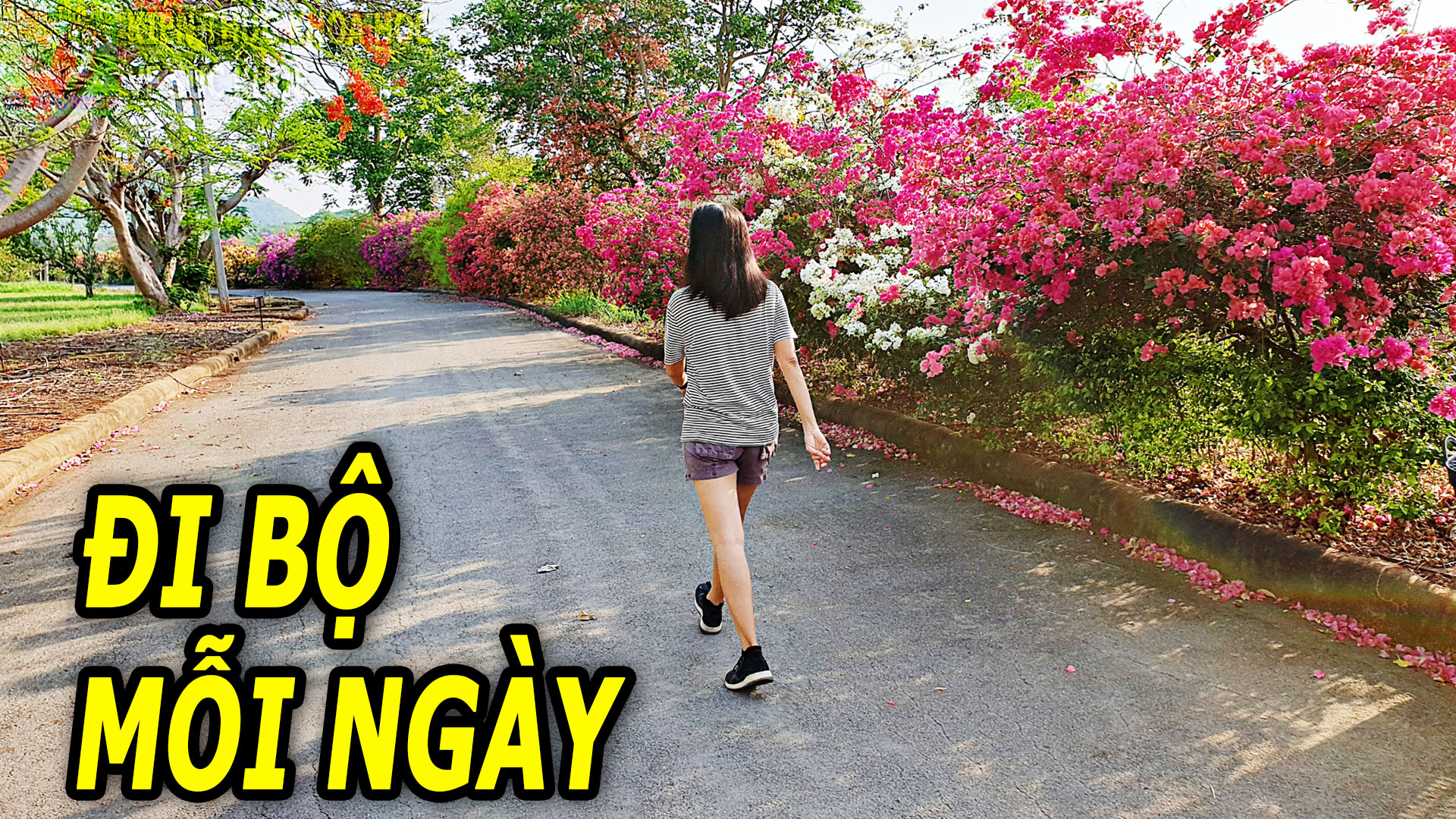 loi-ich-cua-viec-di-bo-hang-ngay