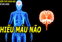 nhung-ai-de-bi-thieu-mau-nao