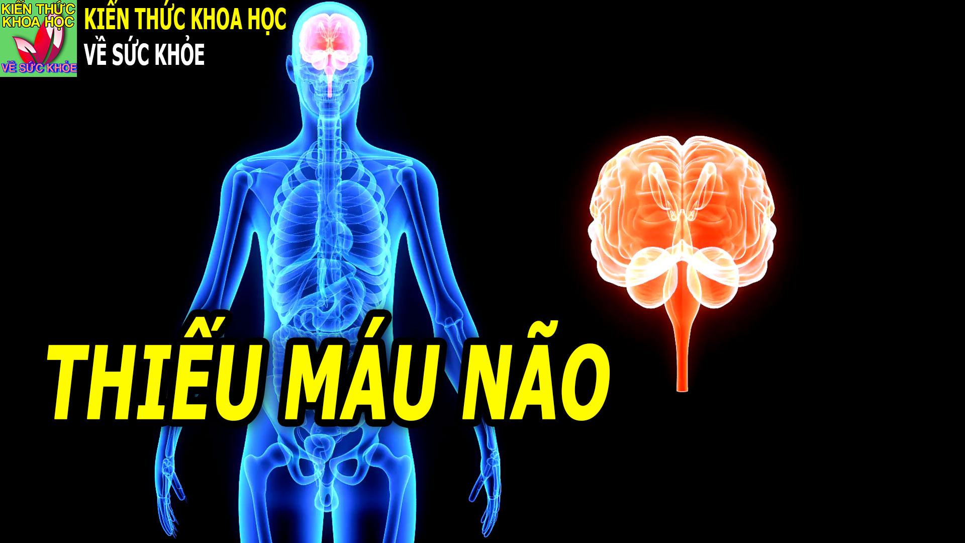 nhung-ai-de-bi-thieu-mau-nao