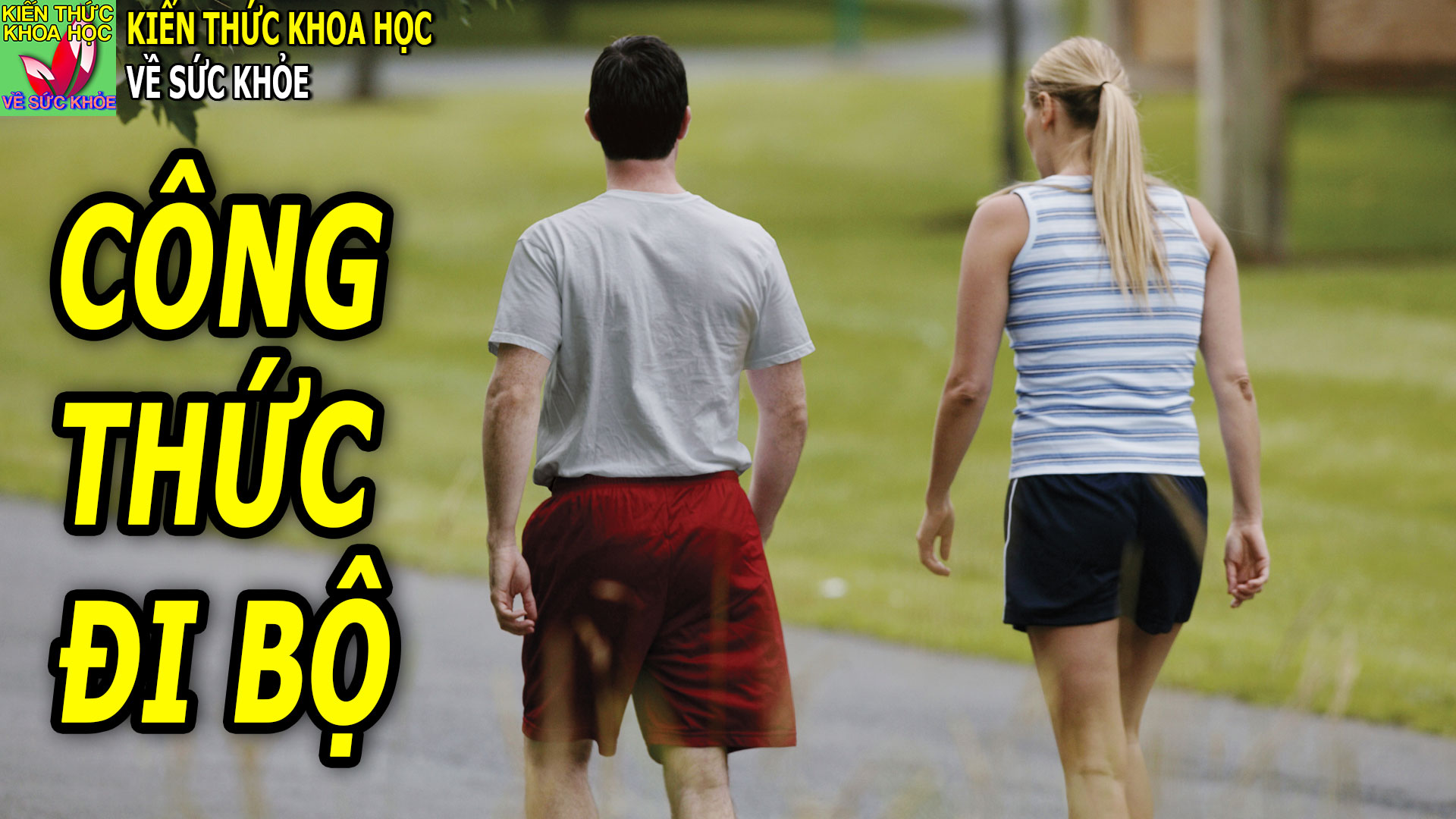 cach-di-bo-hieu-qua-khong-ton-nhieu-thoi-gian