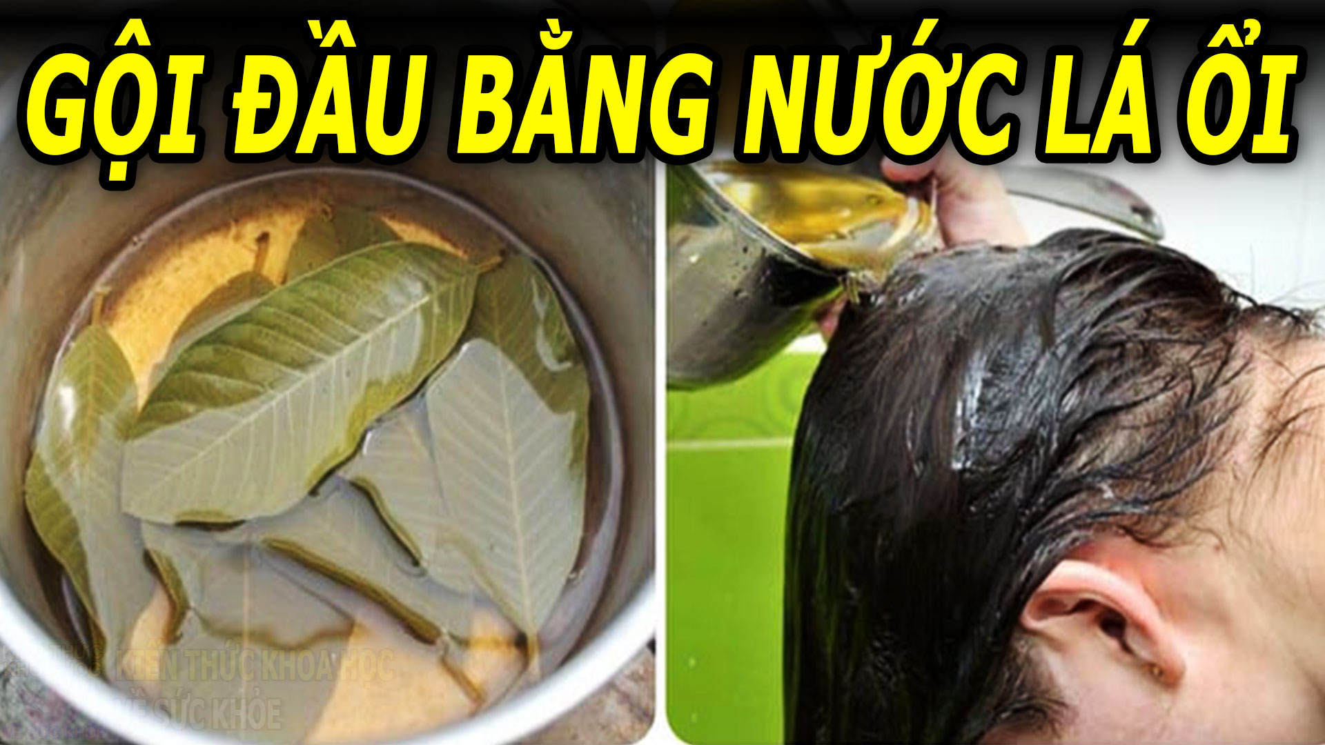 goi-dau-bang-la-oi-co-tac-dung-gi