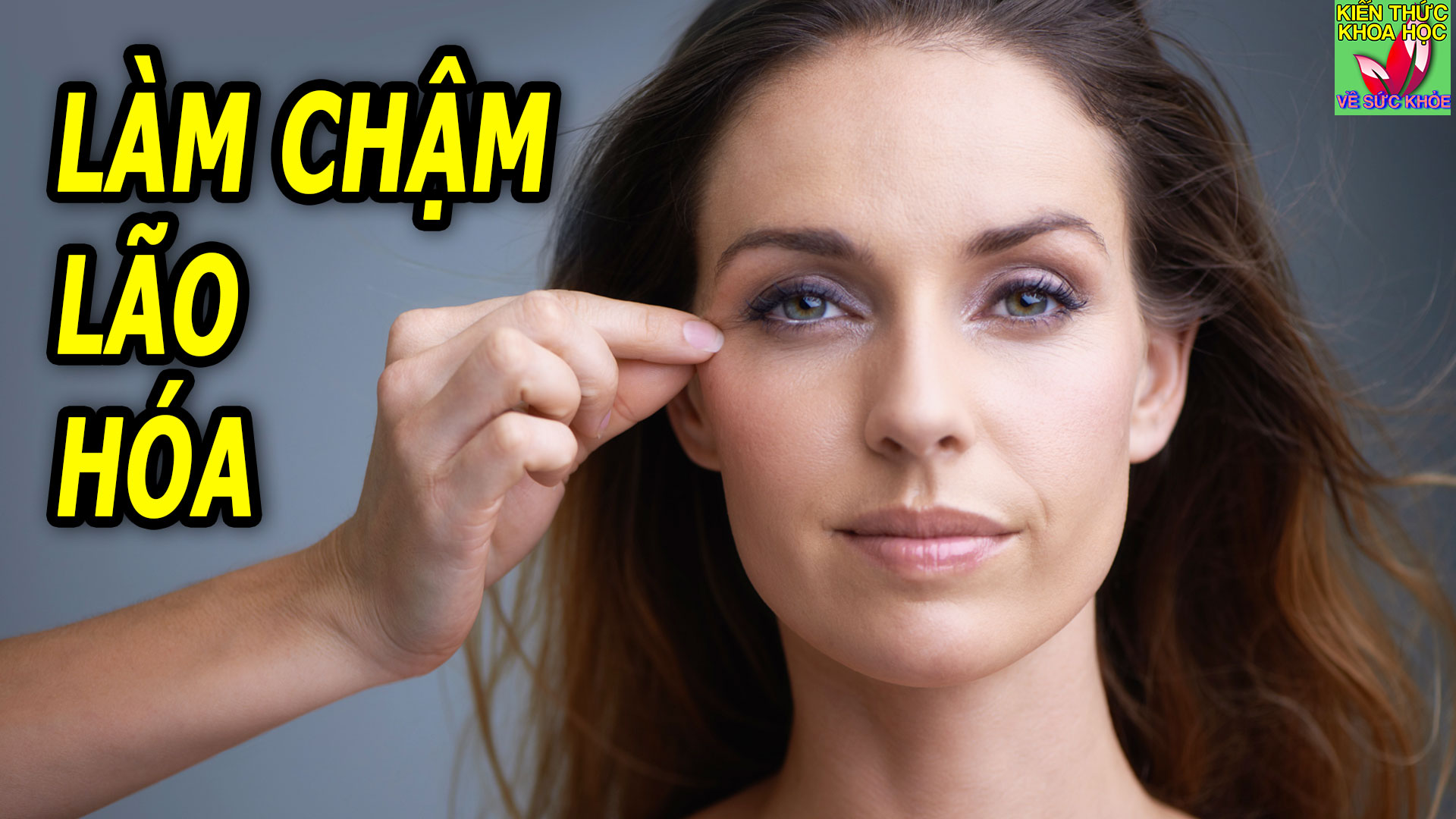 thoi-quen-lam-cham-lao-hoa-giam-tuoi-sinh-hoc