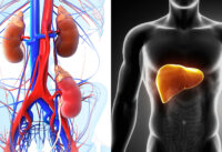 5-loai-trai-cay-ho-tro-giai-doc-gan-than-nen-an-hang-ngay