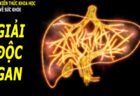 7-mon-an-thuc-uong-ho-tro-giai-doc-gan-giup-thanh-loc-co-the