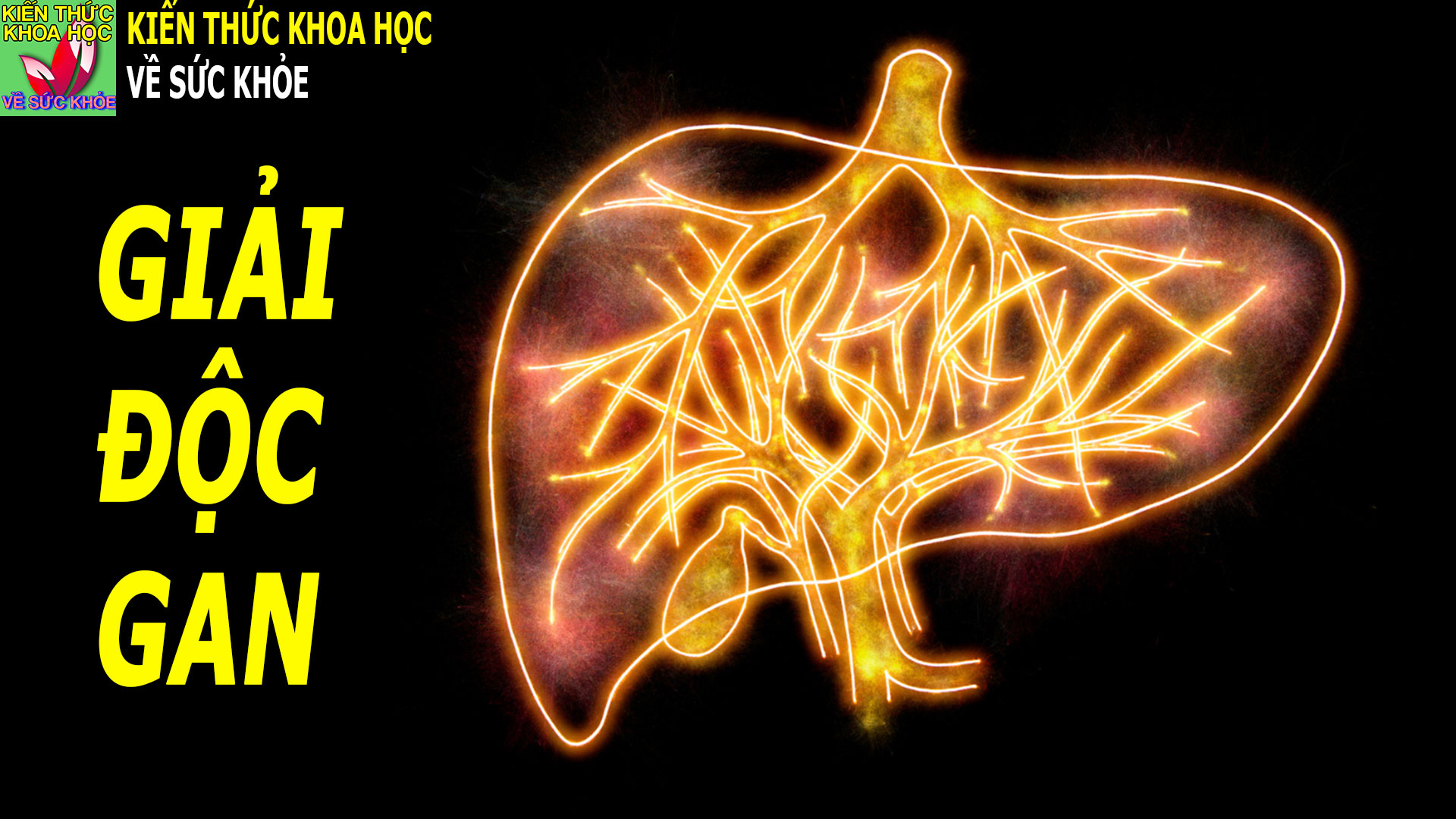 7-mon-an-thuc-uong-ho-tro-giai-doc-gan-giup-thanh-loc-co-the