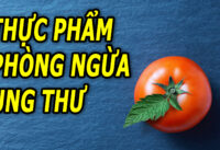 an-ca-chua-giup-giam-nguy-co-mac-ung-thu