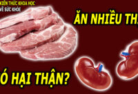 an-thit-nhieu-co-gay-hai-cho-than-khong