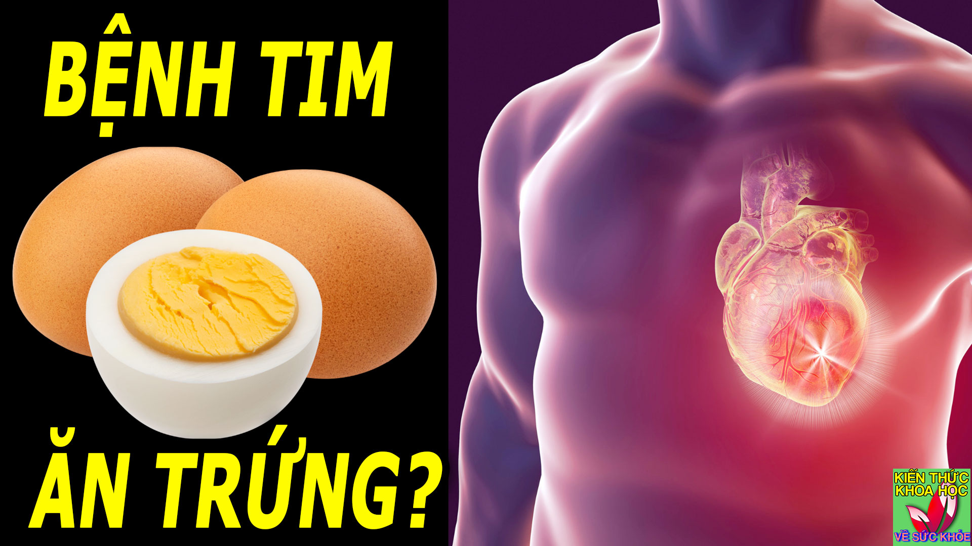 benh-tim-mach-co-an-duoc-trung-khong