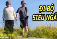 chi-vai-phut-di-bo-sieu-ngan-cung-mai-lai-nhieu-loi-ich-suc-khoe