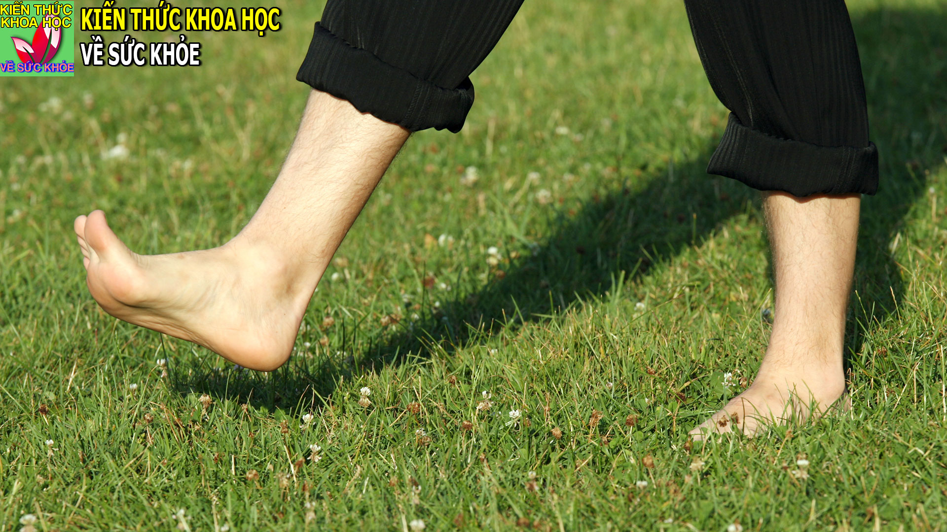 di-bo-co-tot-cho-huyet-ap-khong