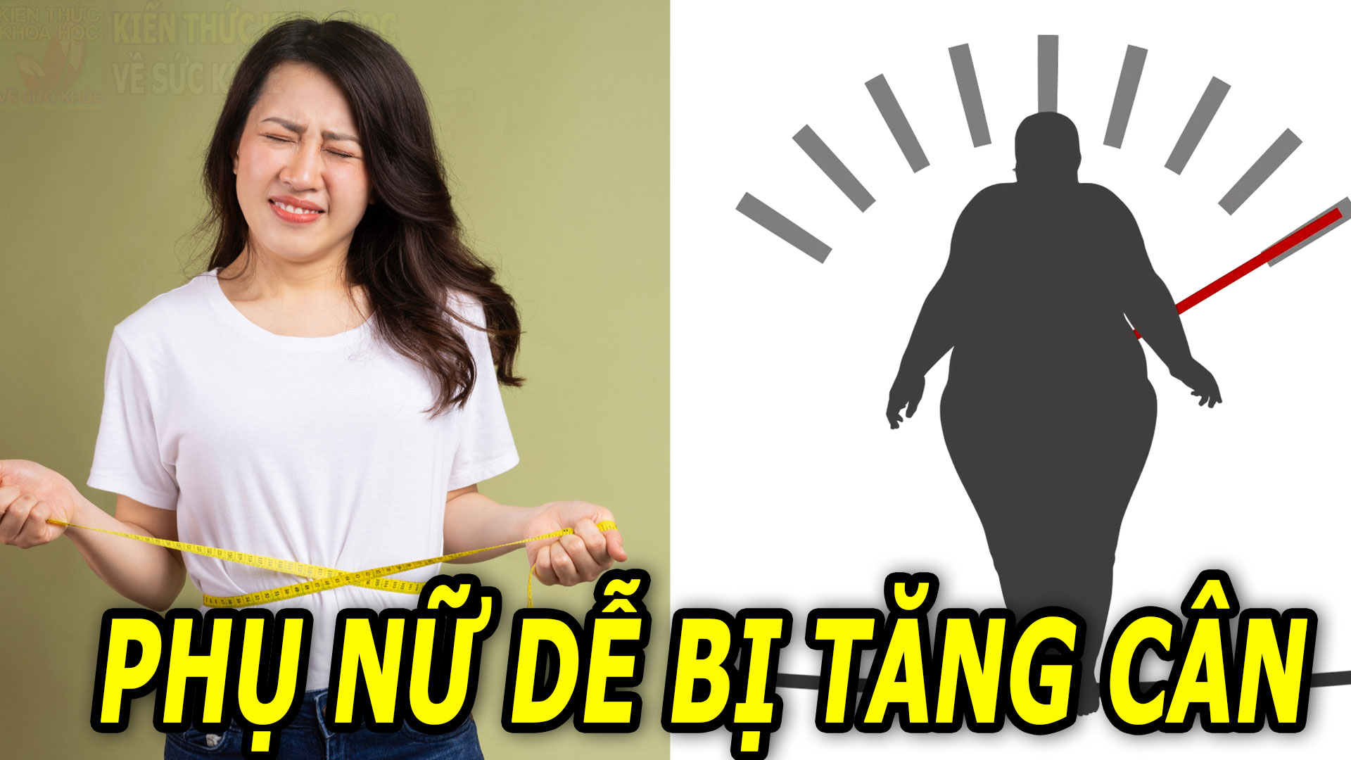 nguyen-nhan-khien-chi-em-phu-nu-de-bi-tang-can