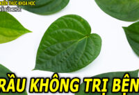 la-trau-khong-co-cong-dung-gi
