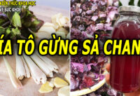 uong-nuoc-tia-to-gung-sa-chanh-co-tac-dung-gi