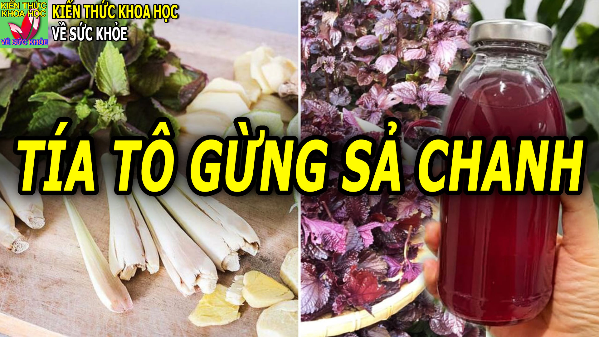 uong-nuoc-tia-to-gung-sa-chanh-co-tac-dung-gi