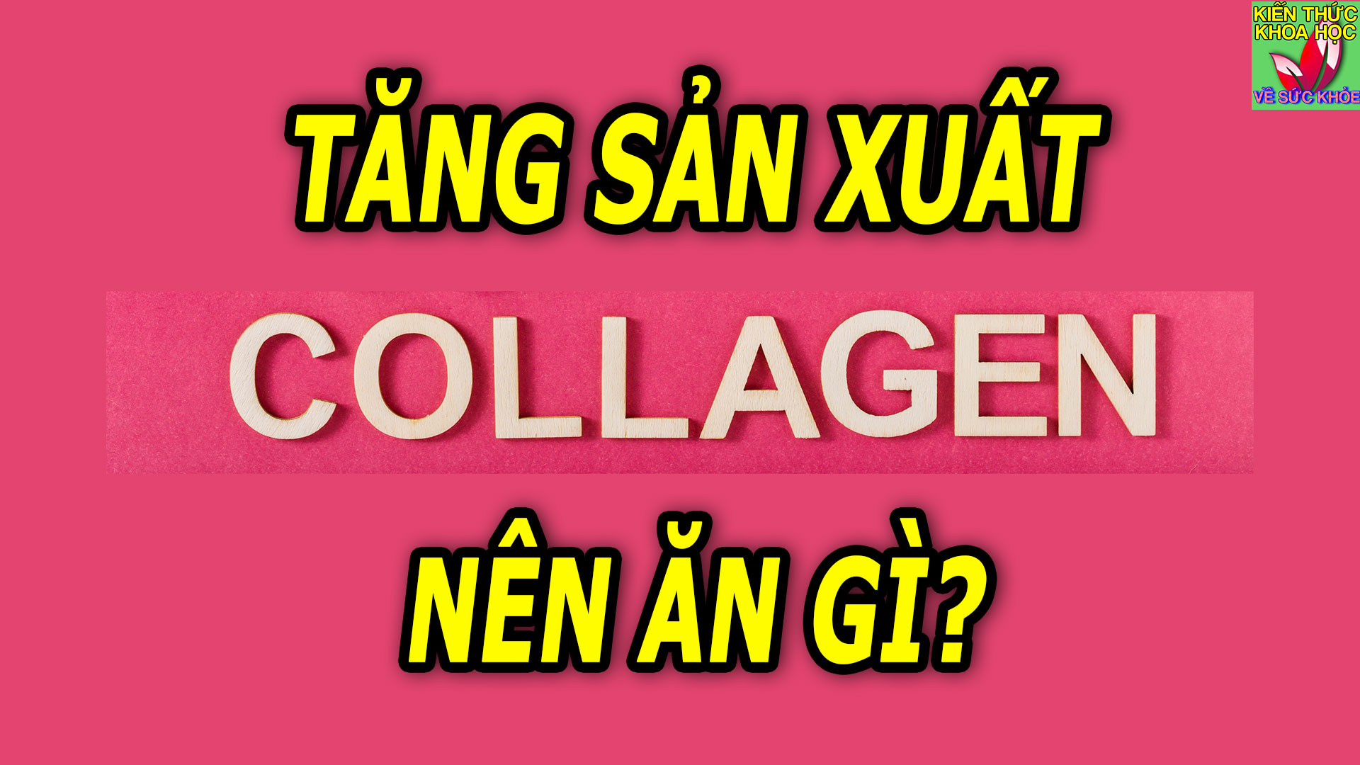 tang-san-xuat-collagen-nen-bo-sung-thuong-xuyen-6-loai-thuc-pham-nay