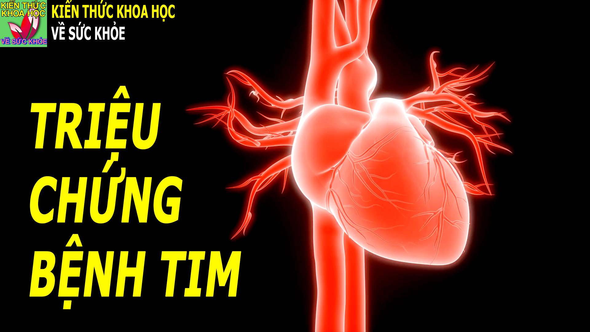 trieu-chung-cua-nguoi-bi-benh-tim-ai-cung-nen-biet-som