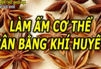 5-thu-giup-lam-am-co-the-can-bang-khi-huyet-trong-mua-lanh