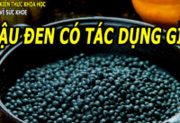 dau-den-co-tac-dung-gi-ai-nen-dung-dau-den
