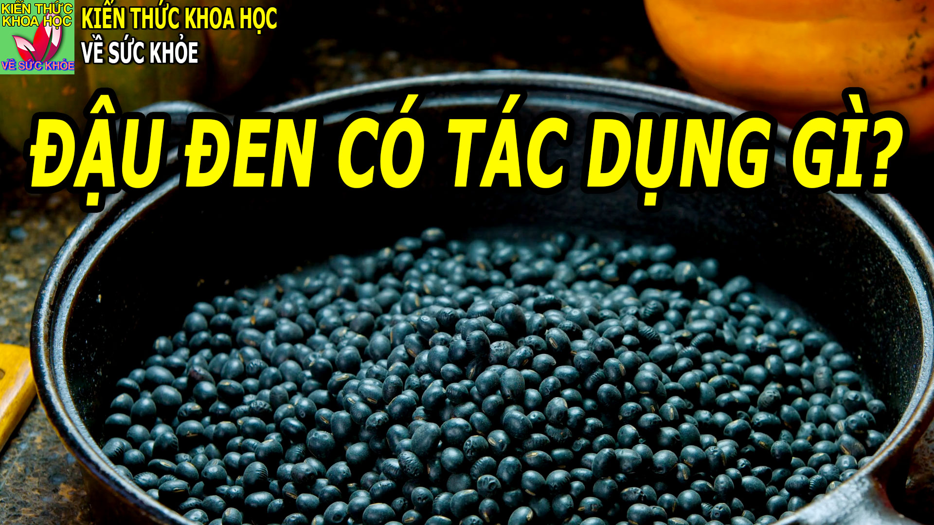dau-den-co-tac-dung-gi-ai-nen-dung-dau-den